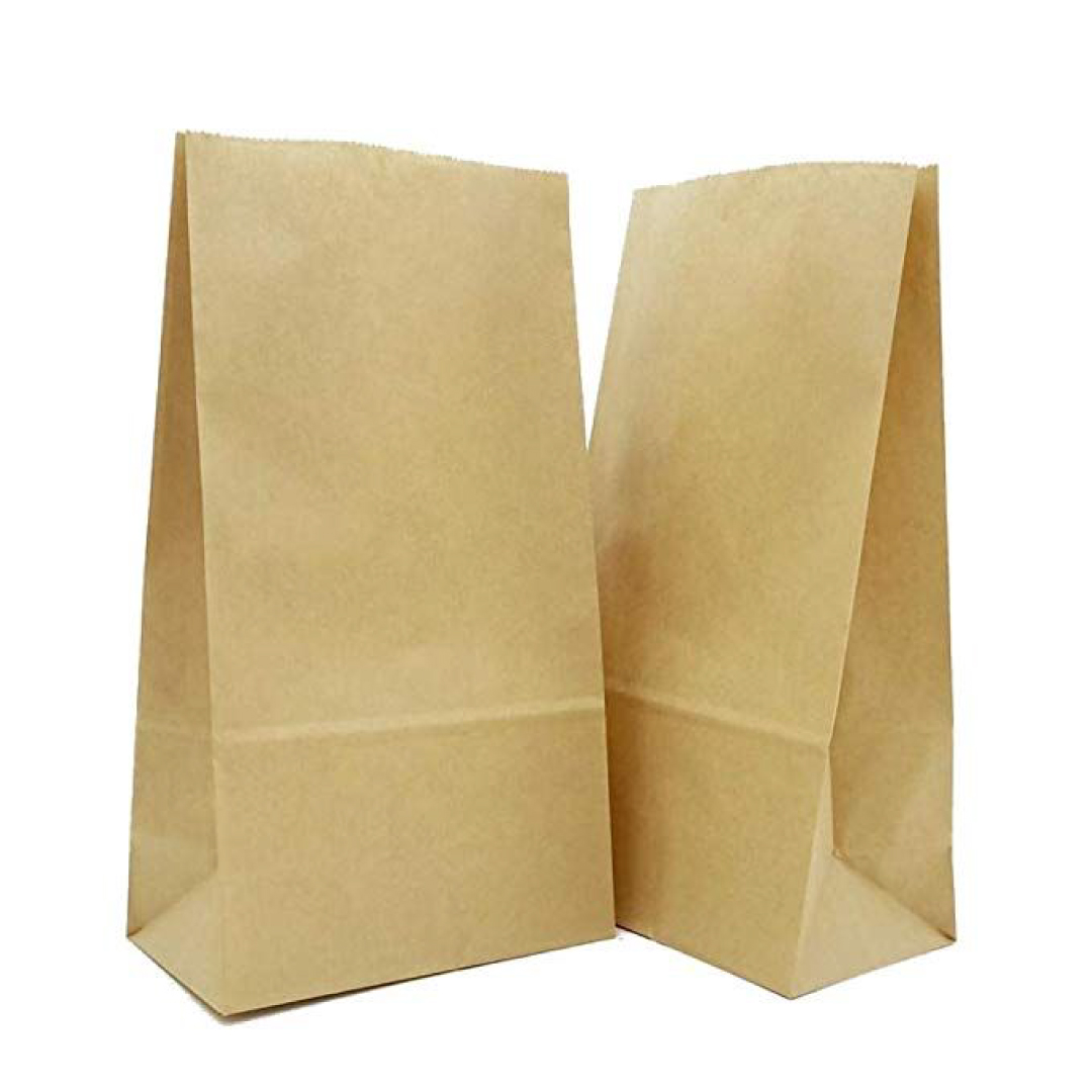 Paper Bags 25 Pcs 100GSM Set of 1 | Storage & Organisers